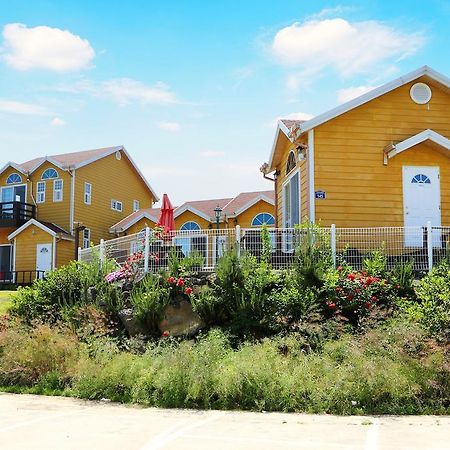 Healing House Villa Seogwipo-stad Buitenkant foto