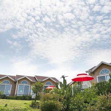 Healing House Villa Seogwipo-stad Buitenkant foto