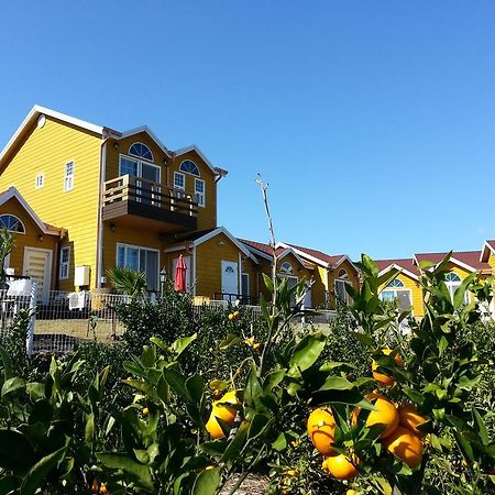 Healing House Villa Seogwipo-stad Buitenkant foto