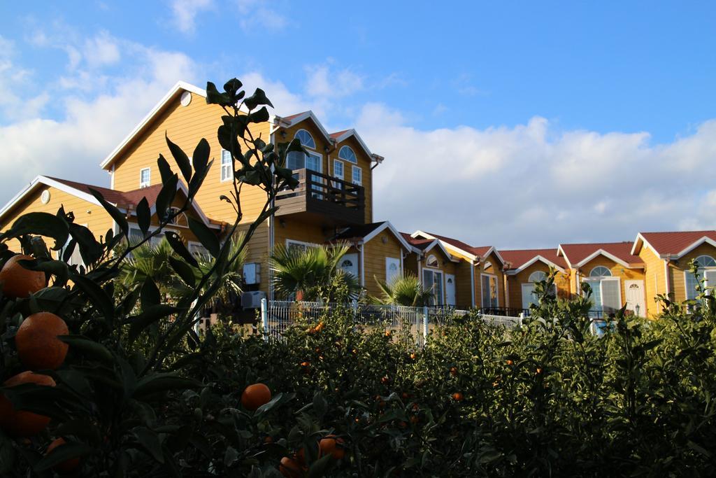 Healing House Villa Seogwipo-stad Buitenkant foto