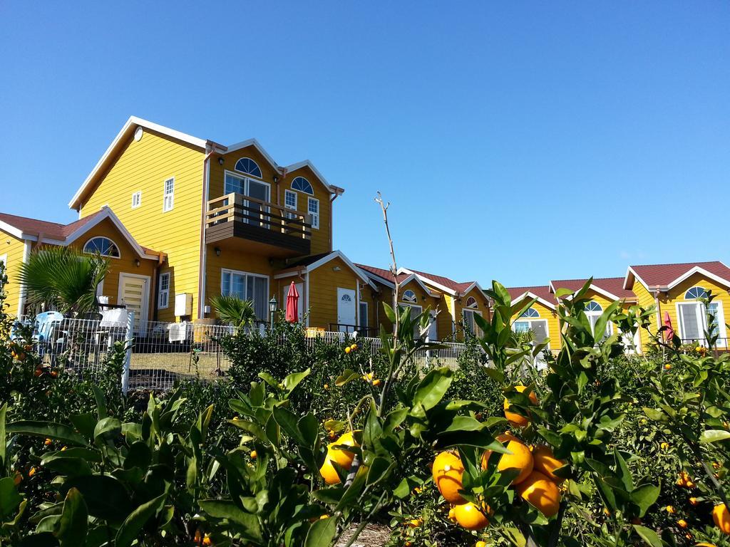 Healing House Villa Seogwipo-stad Buitenkant foto